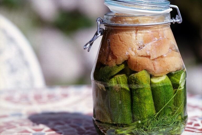 Workshop Fermentation