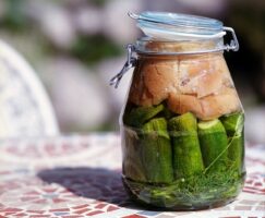 Fermentations-Workshop